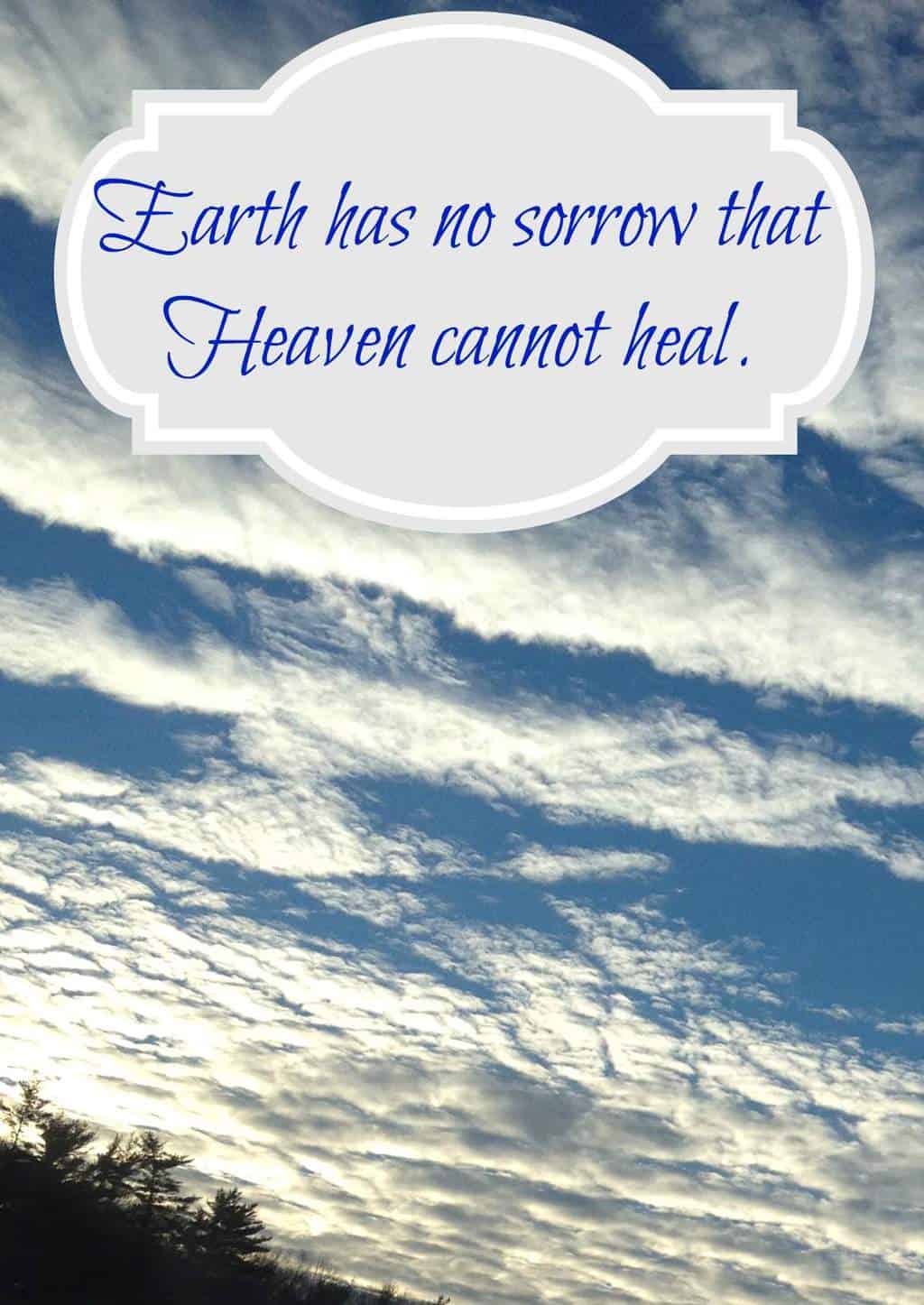 Comfort and Sympathy Quotes