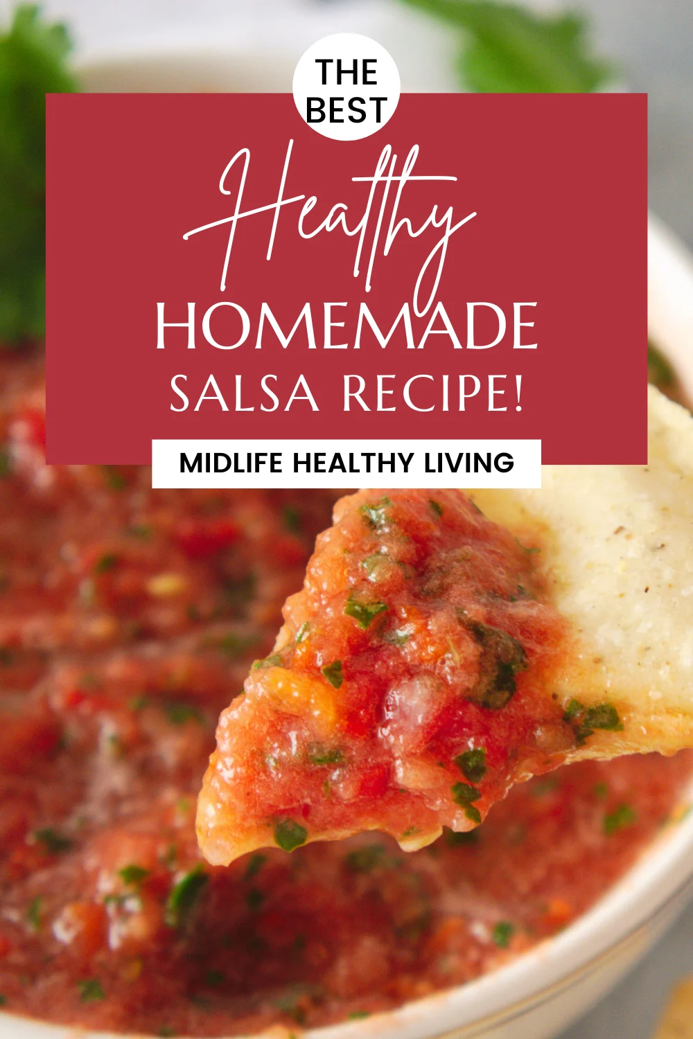 Simple Homemade Salsa Recipe - My Frugal Adventures