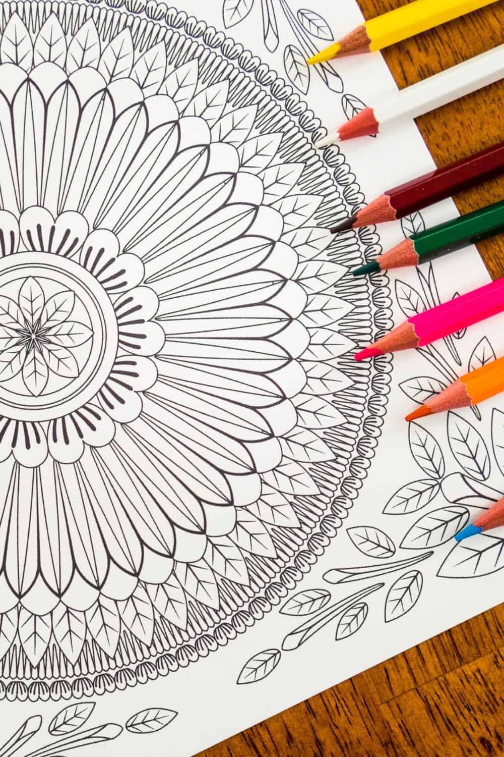 very detailed coloring pages