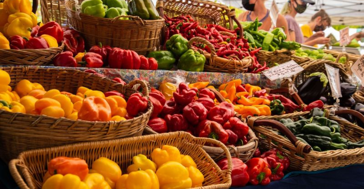 10 Farmers Markets In New England Winning Hearts One Basket At A Time