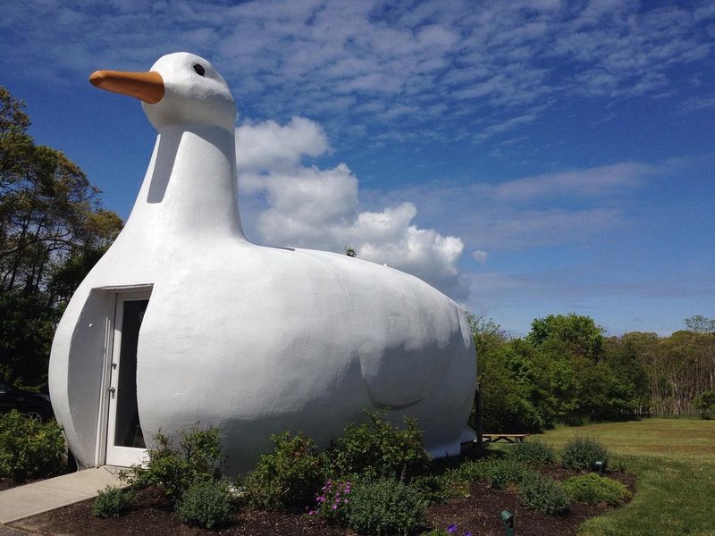 The Big Duck – Flanders, New York
