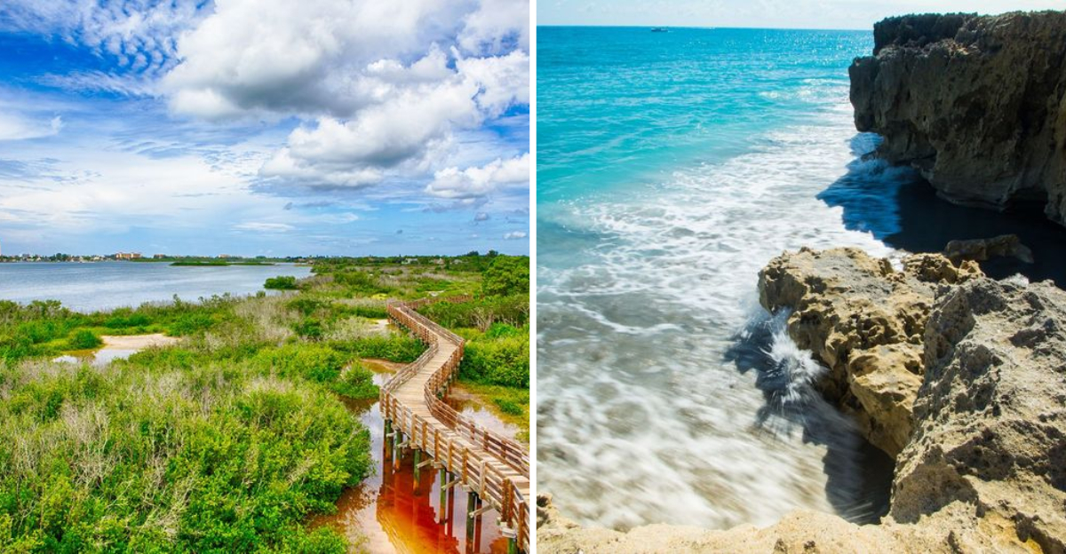 12 Hidden Florida Nature Preserves That Few Visitors Ever See
