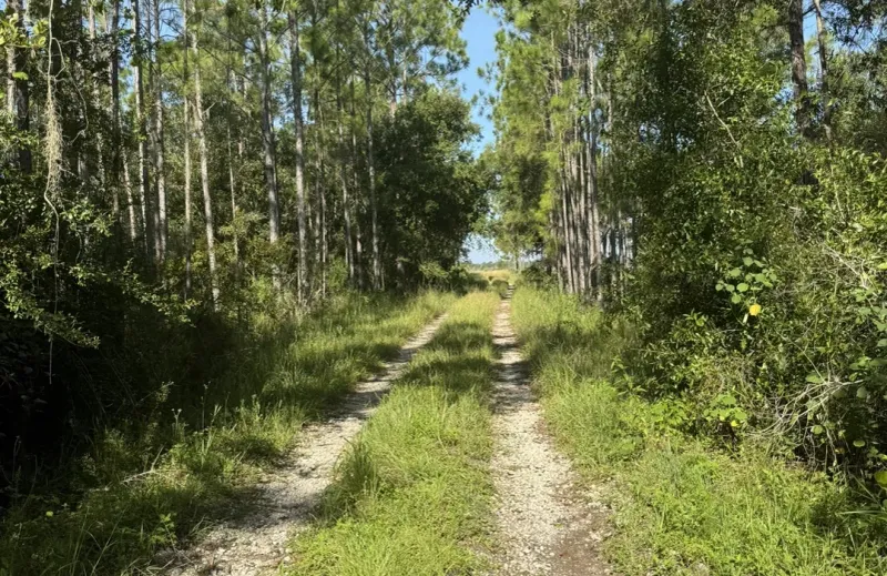 Duette Preserve (Manatee County)