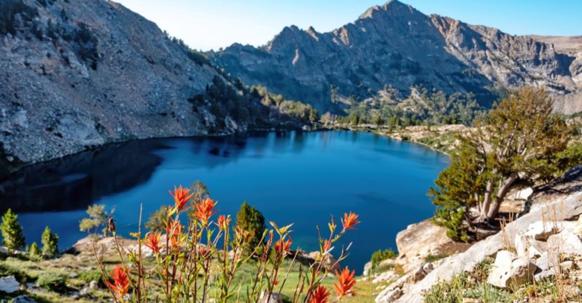 12 Hidden Nevada State Parks You Absolutely Can’t Overlook