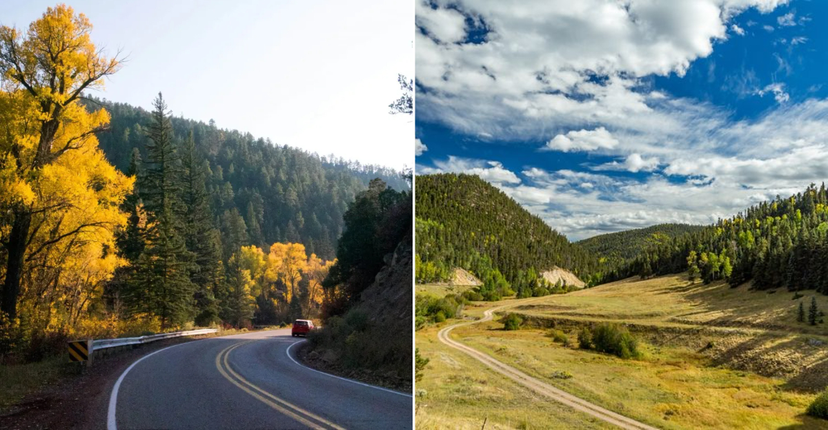 top New Mexico routes and trails to time just right