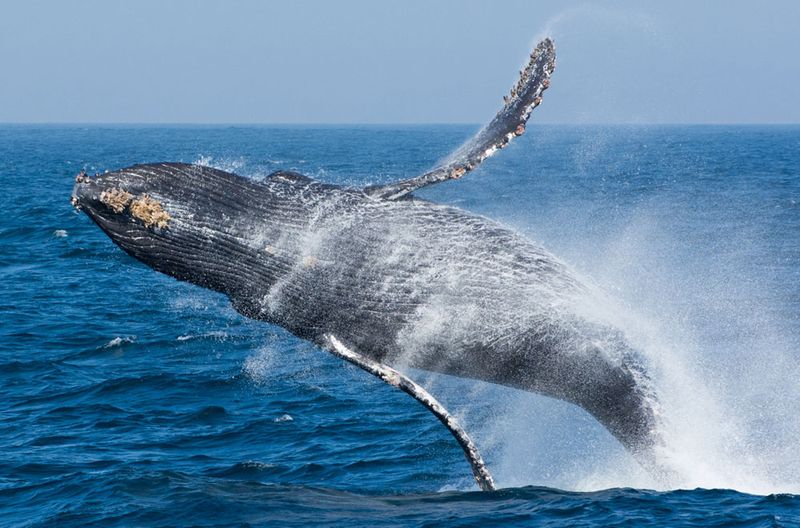 Monterey Bay, California