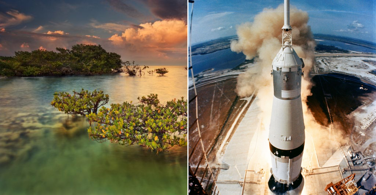fifteen remarkable facts that show why Florida is unlike any other state