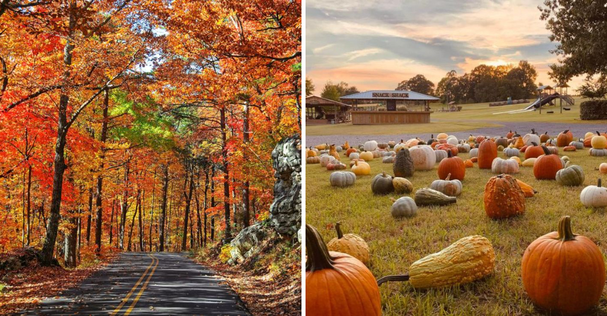 19 Seasonal Delights To Discover In Grenada, Mississippi This Fall
