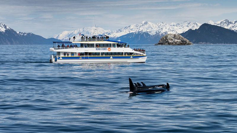 Cruise Kenai Fjords National Park