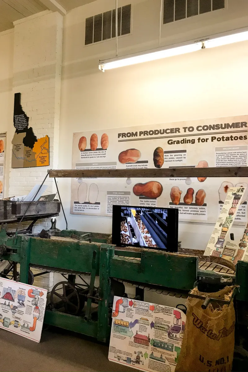 Sustainability Integration in Modern Agriculture
