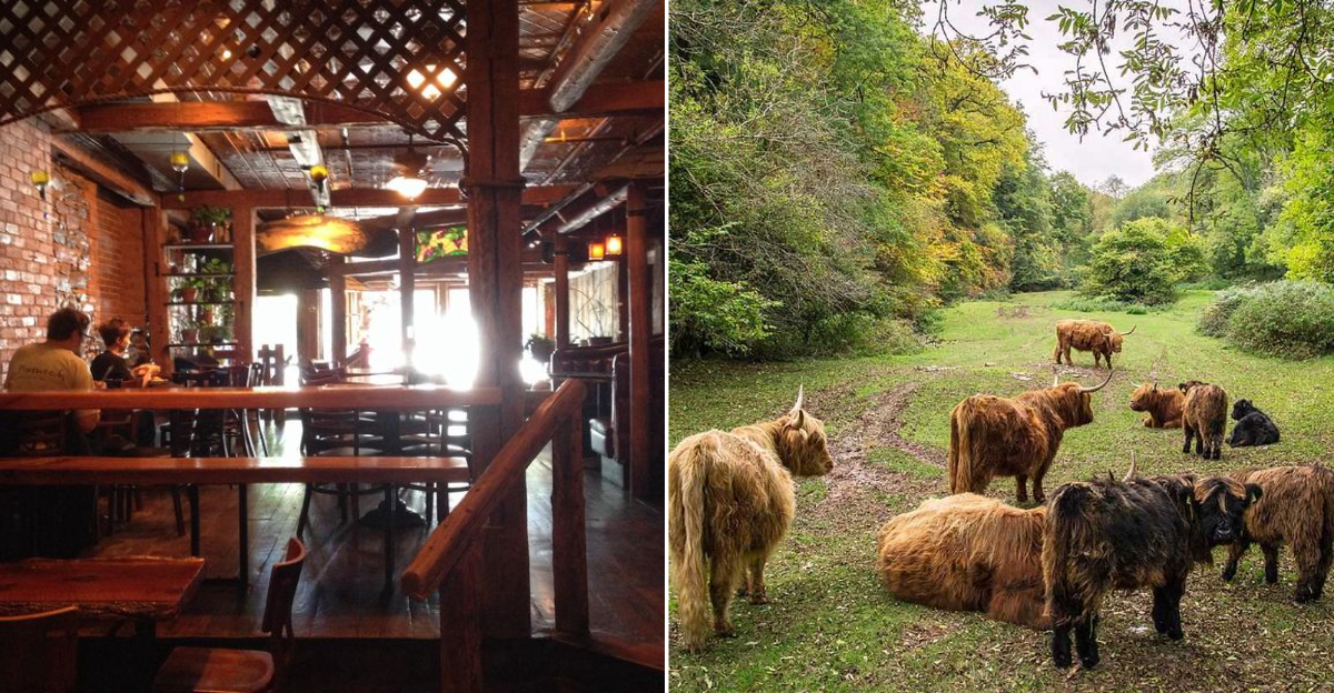 This Hidden Riverside Village In New York Is Full Of Good Food And Drinks