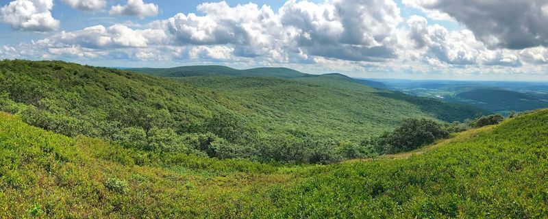 Conquer Stissing Mountain Fire Tower