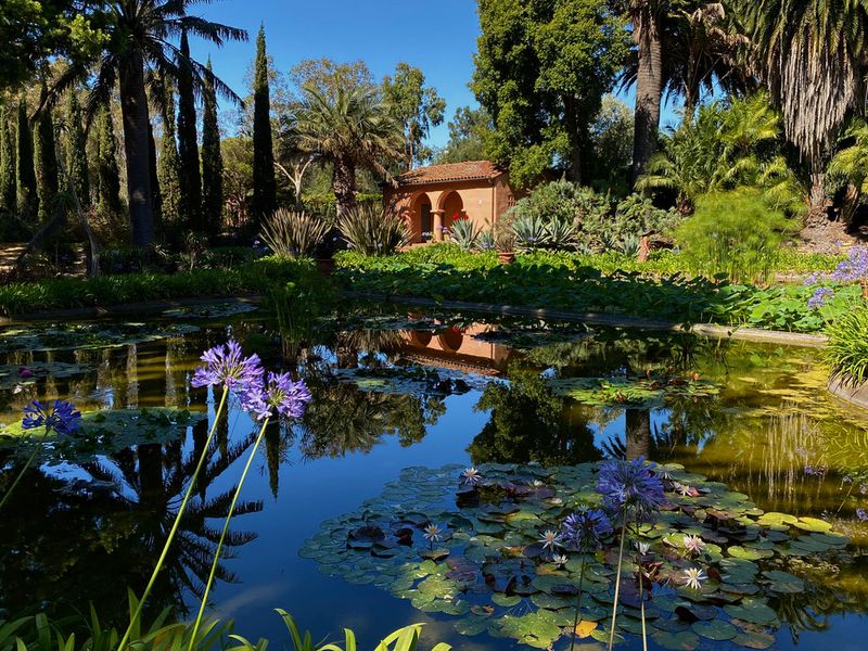 Water Features And Lotus Pools