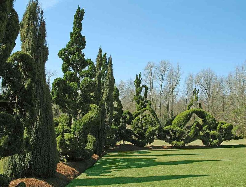 Free Admission to Wonder