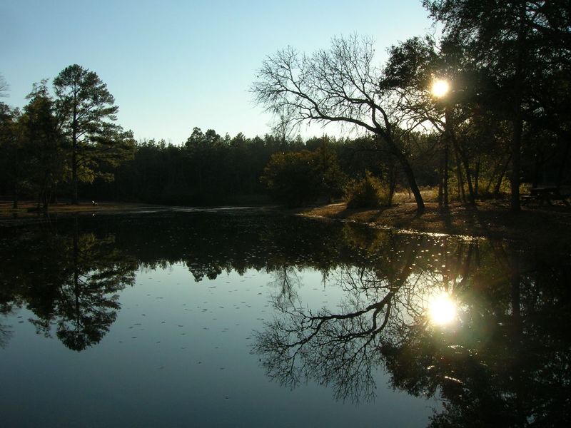 The Gift Of Silence