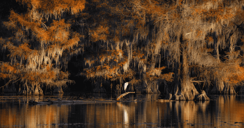 Gateway to Chemin-A-Haut State Park
