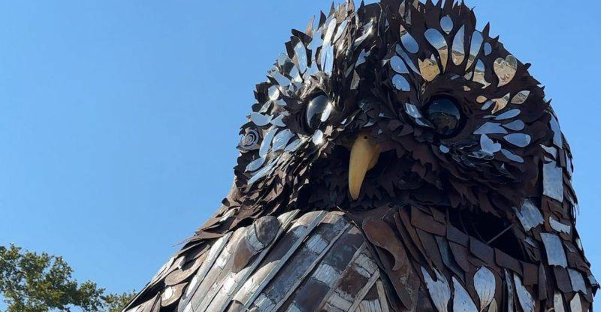 A Watchful Owl Finds A Home In Bastrop, Texas