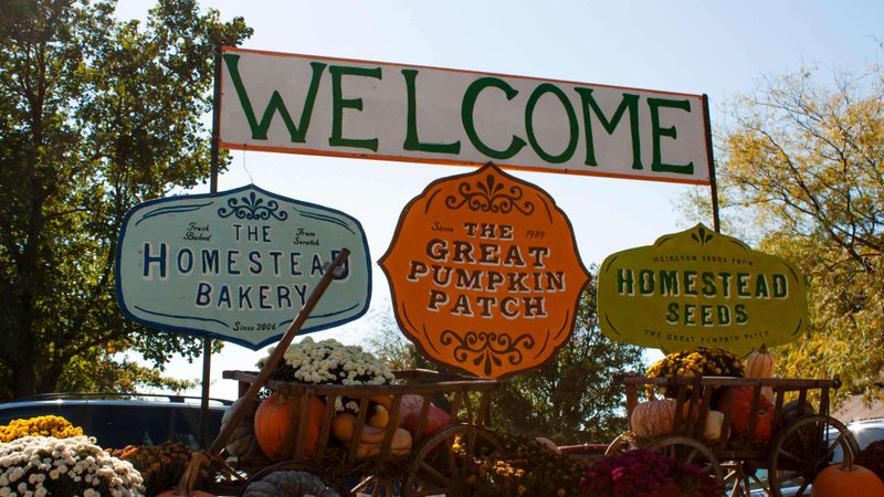 The Homestead Bakery's Famous Treats
