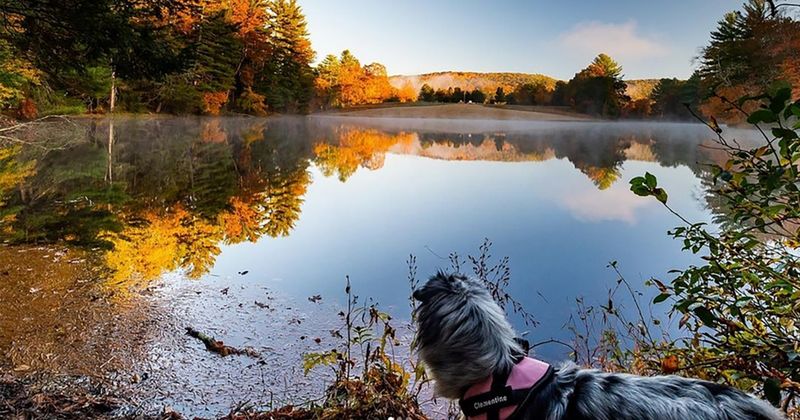 Black Rock Lake Reflections