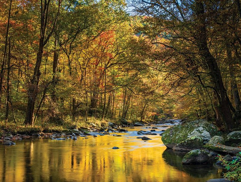 Seasonal Beauty