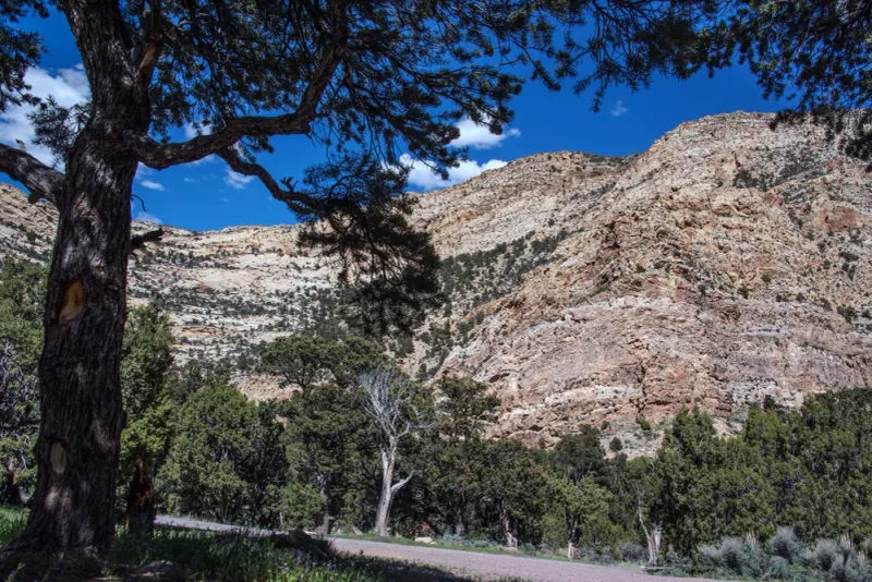 Irish Canyon Natural Area