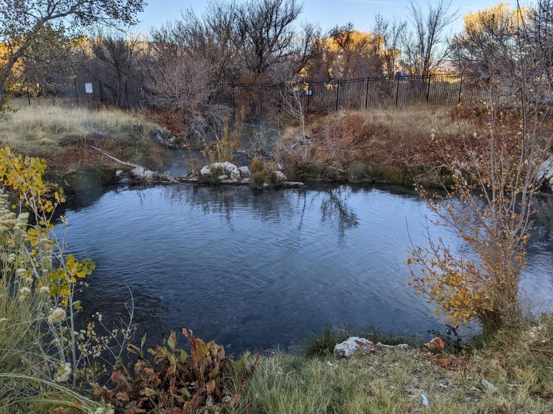 Ash Springs: Nature's Desert Spa