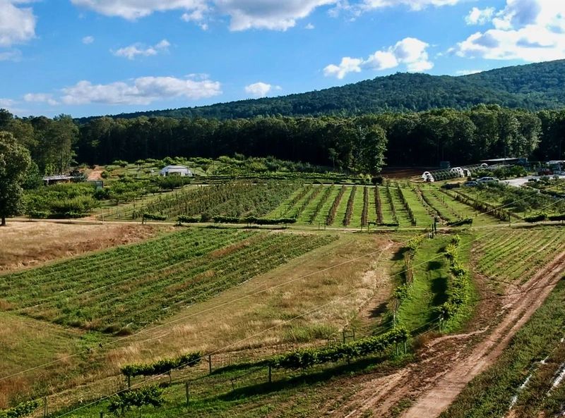 Holmestead Farm In Talladega County