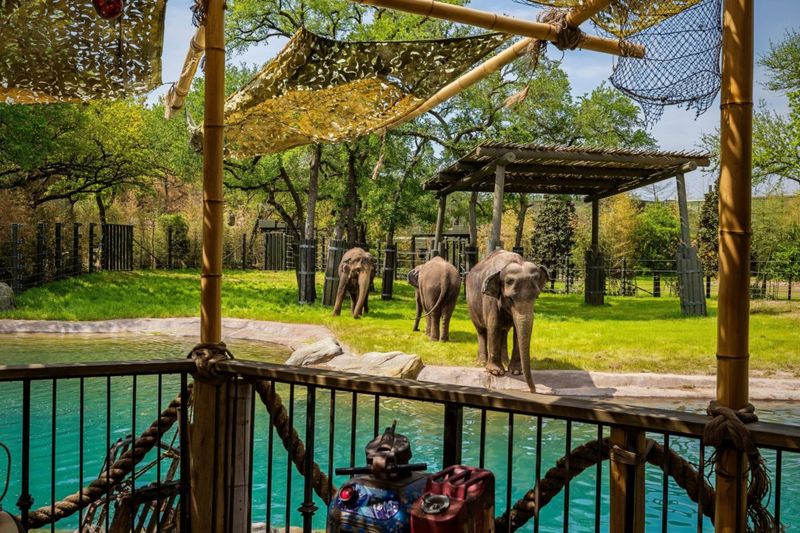 Fort Worth Zoo