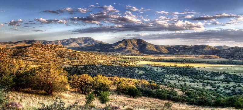 Davis Mountains State Park: Sky Island Specialties