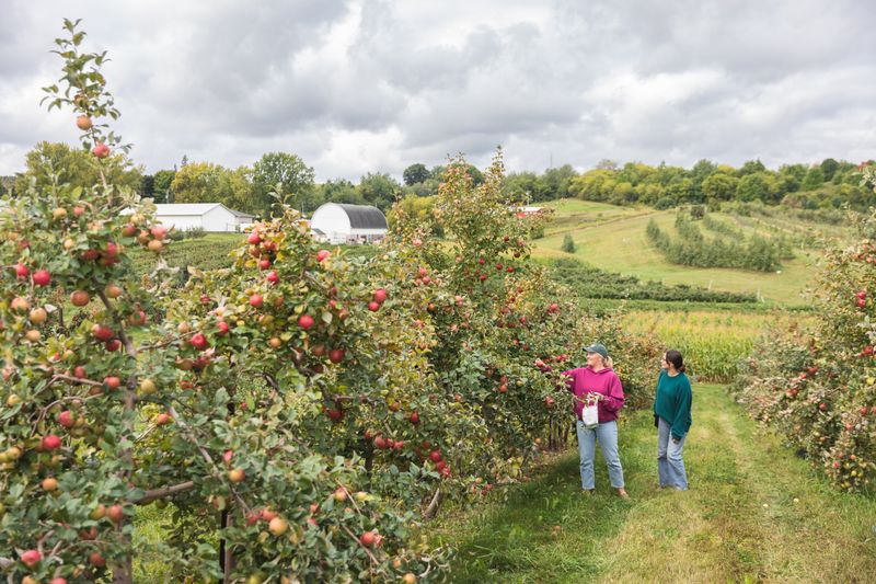 Pleasant View Orchard – McCordsville