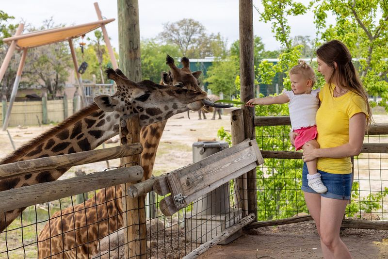ZooTampa (Tampa)