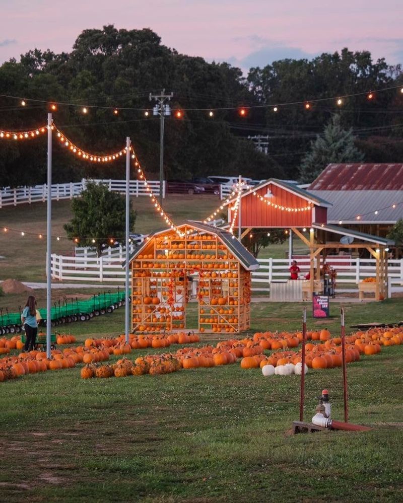 Harvest Festival Weekends: Community Celebrations