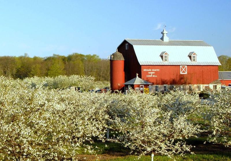 Door County's Apple Paradise