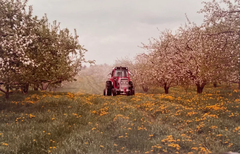 Aamodt's Apple Farm (Minnesota)