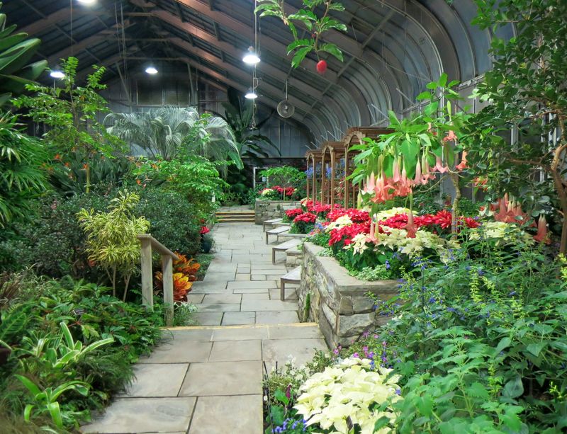 Indoor Wonders Year-Round