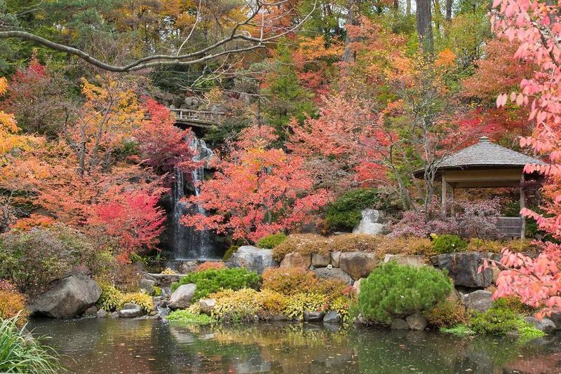Living Canvas That Changes with Time