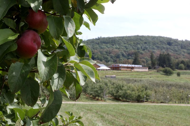 Apple Trail Adventures Connect Multiple Destinations
