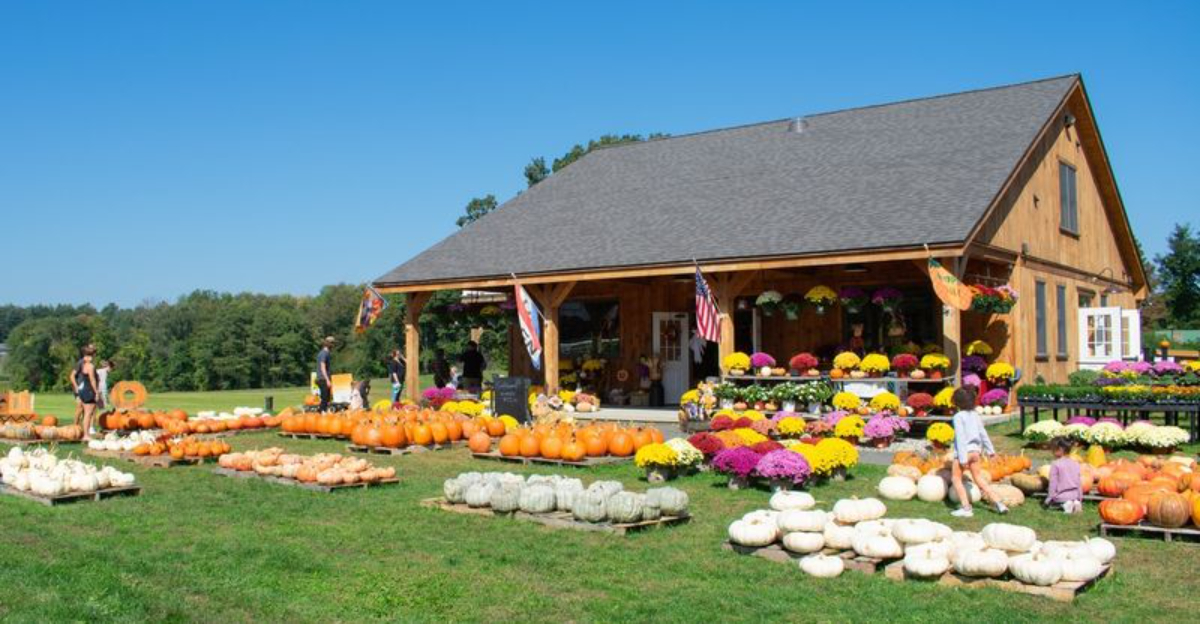 Autumn Shines Bright At Fletcher Farm Pumpkin Patch in Southampton, Massachusetts
