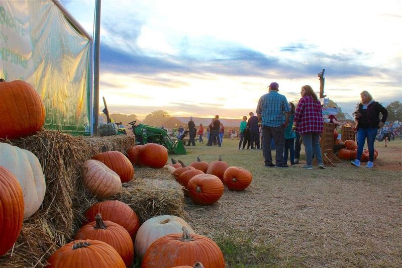 Pumpkin Paradise: Varieties You Won't Find Elsewhere