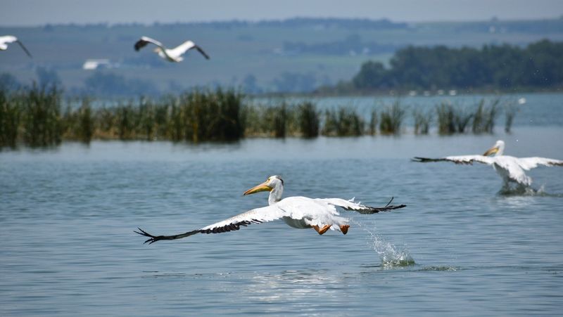 Lake Andes National Wildlife Refuge