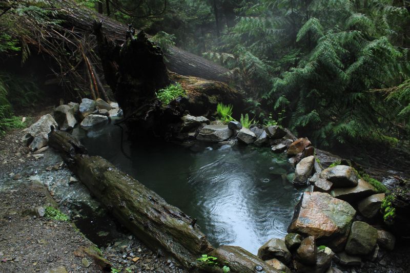 Olympic Hot Springs: Hidden Forest Treasures