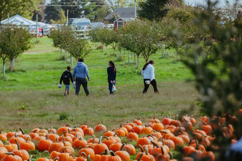 Jollay Orchards