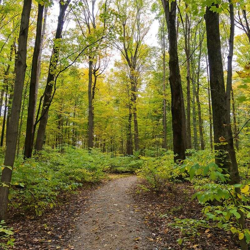 Liberty Park in Twinsburg