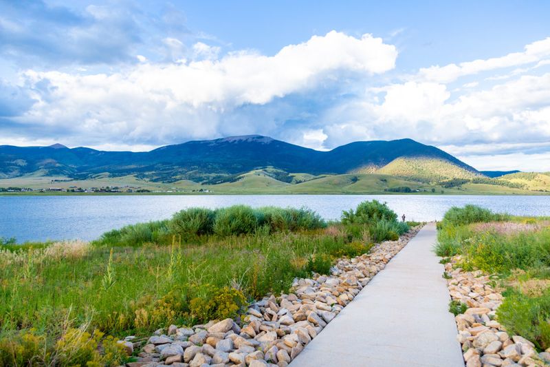 Nest Lake: Birdwatcher's Dream