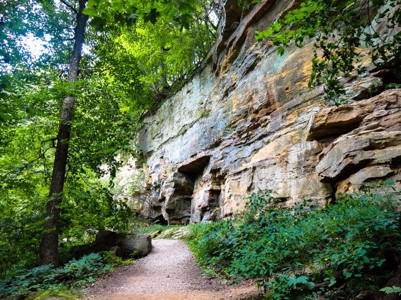 Wildcat Den State Park