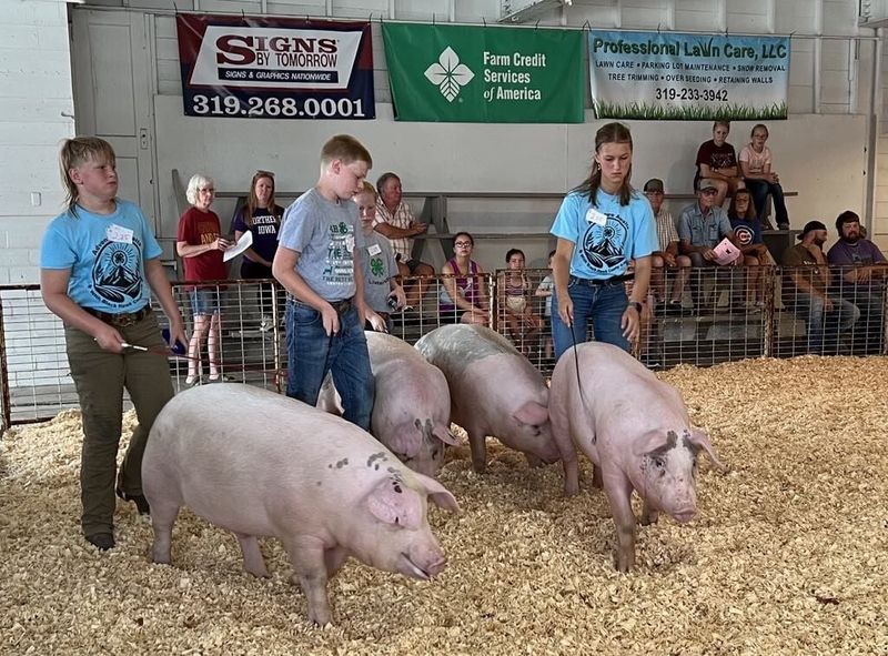 Black Hawk County 4-H & FFA Fair (Waterloo)