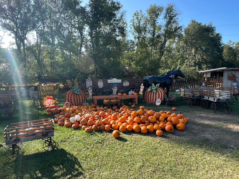 Why Fall Suits Bastrop Best