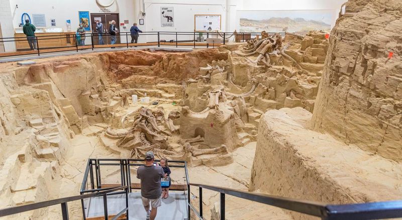The Mammoth Site at Hot Springs