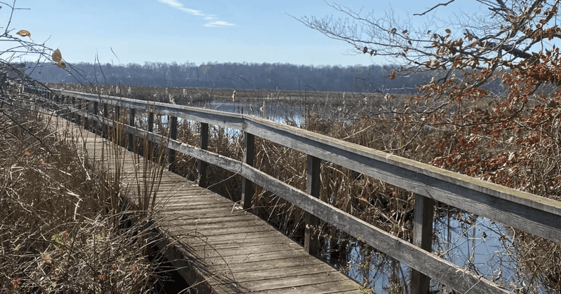Railroad Bed Trail Adventure