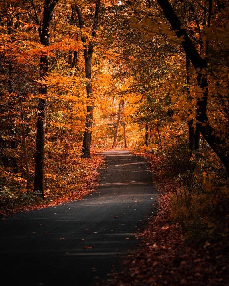 A Park For All Seasons